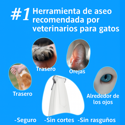Sevich